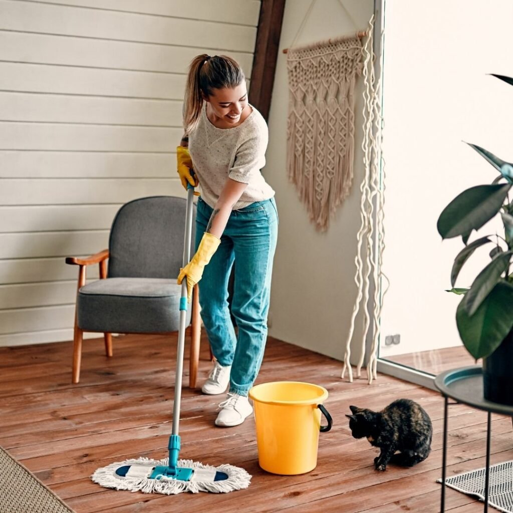 maid-service-1 Nesta Sites Web Design Maid Service,SEO,Leads,Web Design