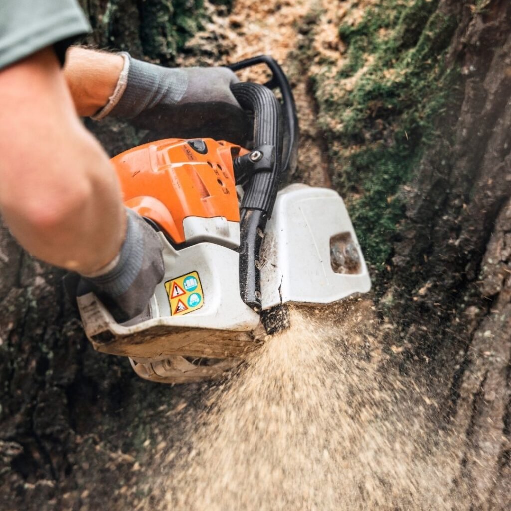 tree-service-2 Nesta Sites Web Design Tree Services,SEO,Leads,Web Design